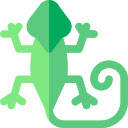 CoinGecko Candy Collector CoinGecko Candy Collector