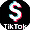 TikTok Money Calculator