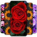 Aesthetic Flower Wallpaper HD Custom New Tab