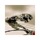 Jaguar Wallpapers New Tab Theme