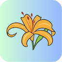 Daylily Price Calculator