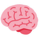 Memorai – AI memory assistant for Anki
