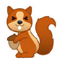Squirrel Wallpapers HD Cute Squirrels New Tab