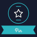 Pin: History, Bookmarks & Tabs Manager
