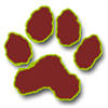 Meow, The Cat Pet Meow, The Cat Pet