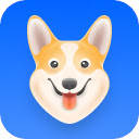 Corgi AI – Your language teacher