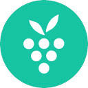 Berrycast for Chrome