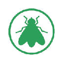Flies