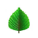 Amazon Rainforest Backgrounds HD