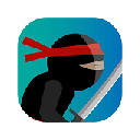 Ninja Dragon