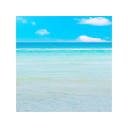 Summer Wallpapers HD Theme