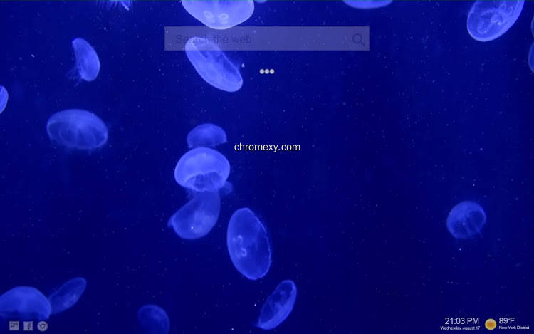 【图】Jellyfish LIVE Tab(截图1)