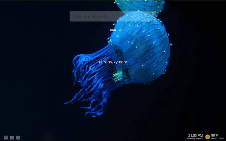 【图】Jellyfish LIVE Tab(截图2)