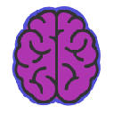 Hippocampus