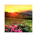 Appalachian Mountains: Sunset (NC)