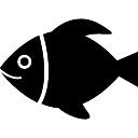 Copyfish 🐟 Free OCR Software