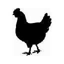 New tab Hen