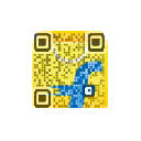 Flipkart QR
