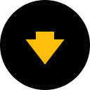 Video Downloader Professional