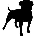 Dog it
