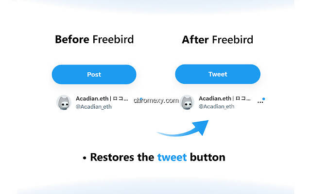 【图】Freebird – X (Twitter) Logo Replacer(截图2)