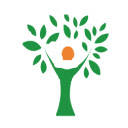 Moringa Benefits For Men. Tips and Recipes
