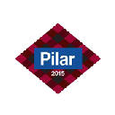Pilares 2015 (Fiestas del Pilar)