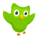 Duolingo on the Web