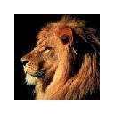 Lion – New Tab in HD