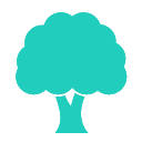 Treesplease – De Bomenknop