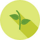 open-in-overleaf