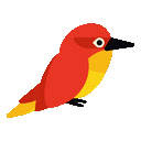 Kingfisher Backgrounds HD Kingfishers New Tab Kingfisher Backgrounds HD Kingfishers New Tab