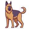 Shepherd dogs HD Wallpapers – Custom New Tab Shepherd dogs HD Wallpapers – Custom New Tab