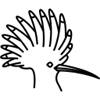 hoopoe HD Wallpapers – Custom New Tab