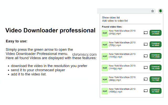 【图】Video Downloader professional(截图 0)