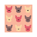 Rosie Frenchie
