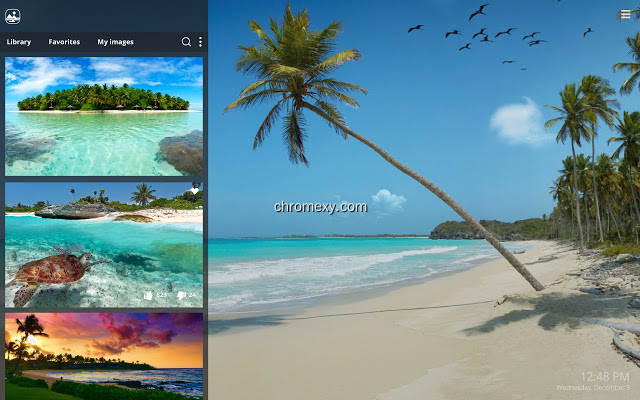 【图】My Tropical Beach – Exotic Island Wallpapers(截图2)