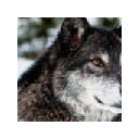 Wolf New Tab & Wallpapers Collection Wolf New Tab & Wallpapers Collection