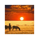 Safari Wallpapers New Tab Theme