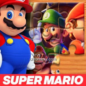 The Super Mario Bros Game The Super Mario Bros Game