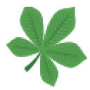 Treegle – The search engine that plants trees