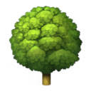 tree.fm – listen to a random forest tree.fm – listen to a random forest