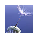 Dandelion Wallpapers Dandelion New Tab