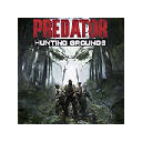 Predator Hunting Grounds Wallpapers HD