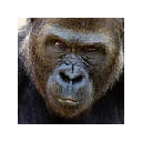 Toxic comments Identifier 