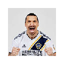 Zlatan Ibrahimovic Wallpapers Theme|GreaTab