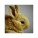 Cute Bunny Rabbit Wallpapers Theme |GreaTab