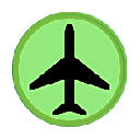 Show Concur Travel Details