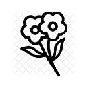 Flowers Wallpapers Flowers New Tab HD Flowers Wallpapers Flowers New Tab HD