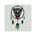 Owl Wallpapers Theme New Tab Owl Wallpapers Theme New Tab